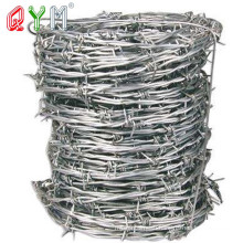 Razor Wire Fence Price Meter Barbed Wire in Egypt